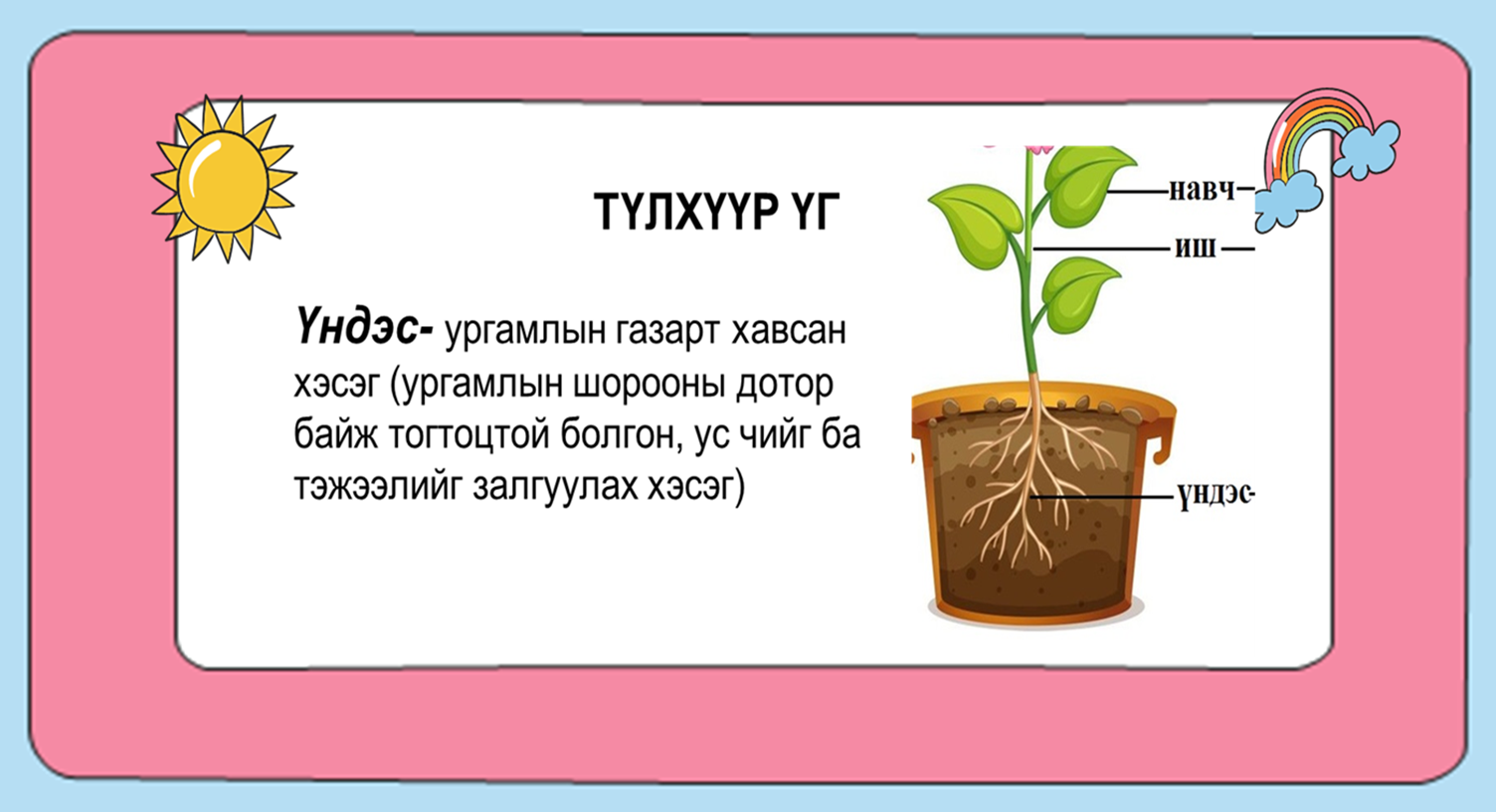 Мэдлээ | Цахим контент